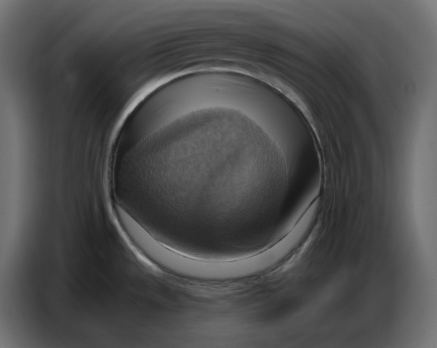 X0000086751533200705041417