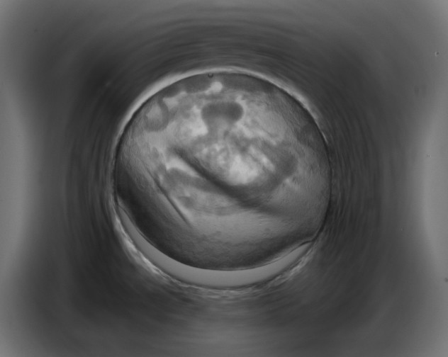 X0000086751534200705041417