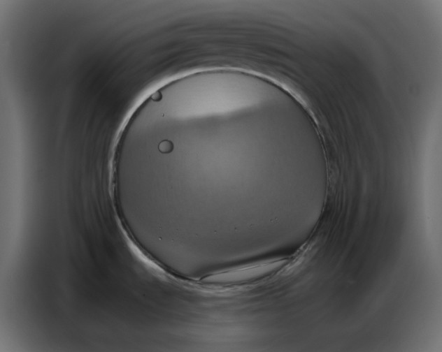 X0000086751535200705041417