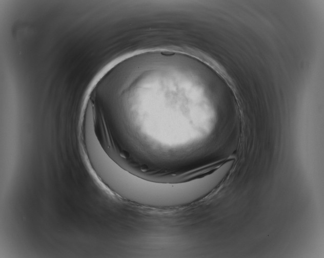 X0000086751536200705041417