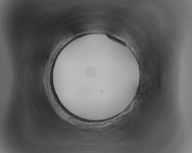 X0000086750001200705111704
