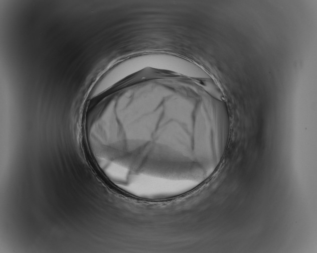 X0000086750002200705111704
