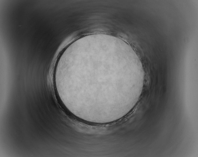 X0000086750004200705111704