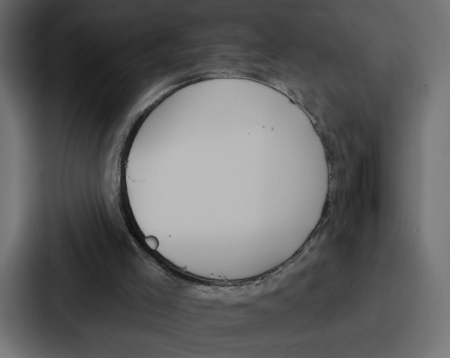 X0000086750005200705111704