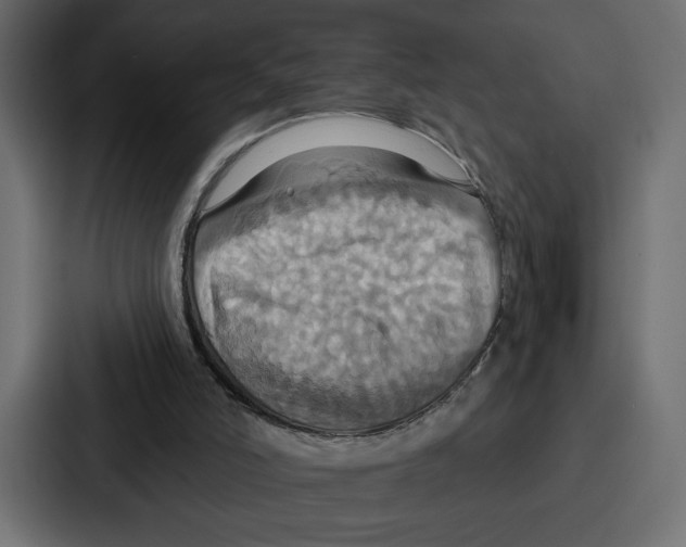 X0000086750006200705111704