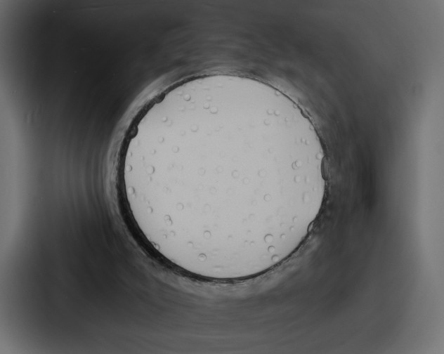 X0000086750007200705111704