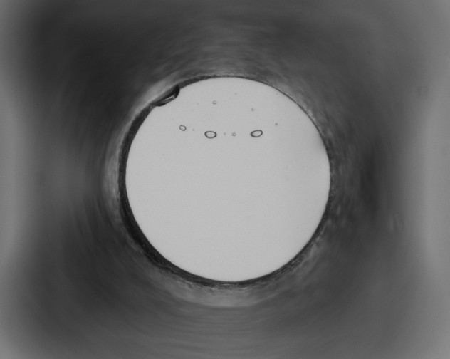 X0000086750008200705111704