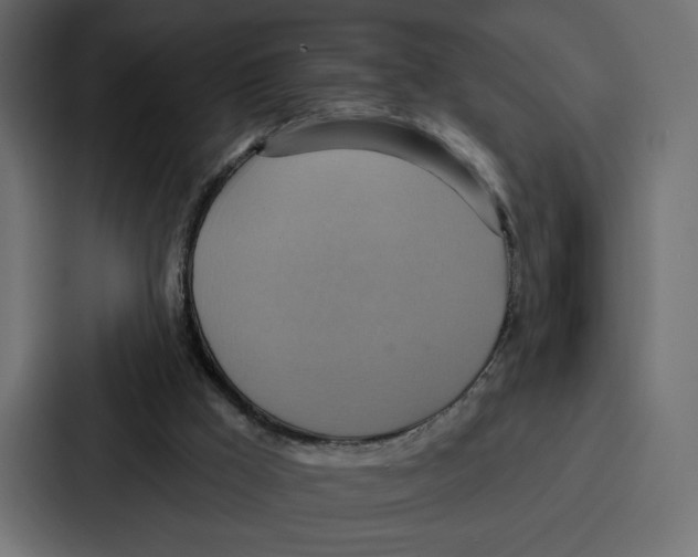 X0000086750009200705111704