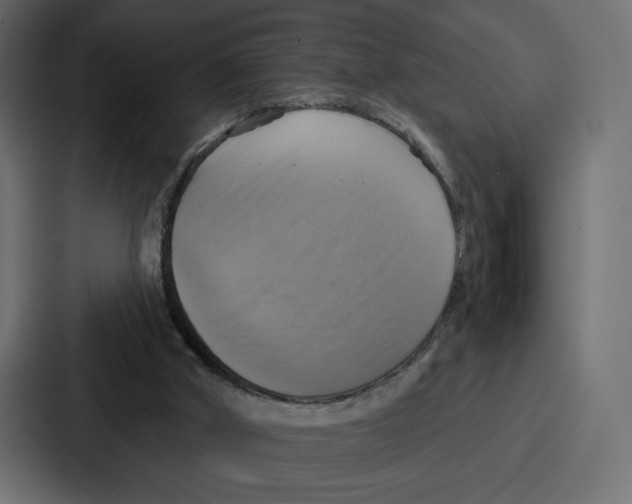 X0000086750010200705111704