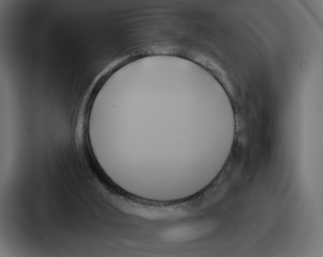X0000086750012200705111704