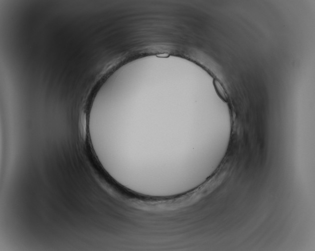 X0000086750013200705111704
