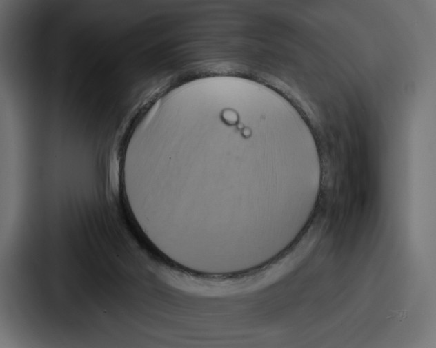X0000086750014200705111704