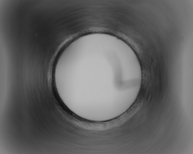 X0000086750015200705111704