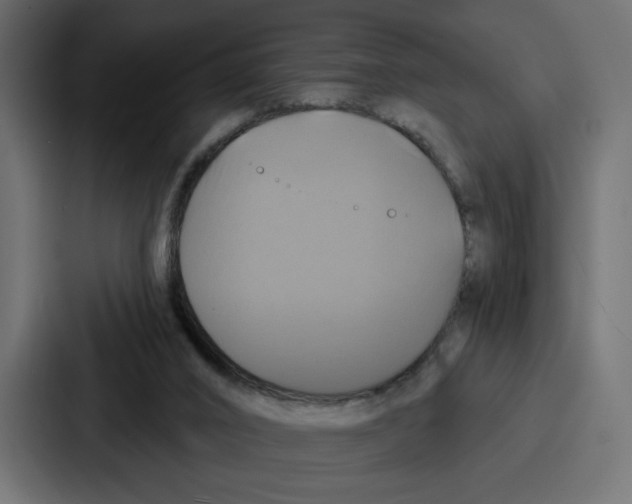 X0000086750016200705111704