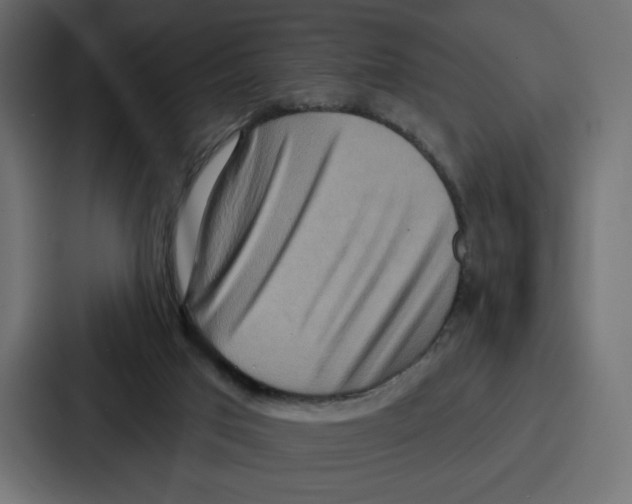 X0000086750017200705111704