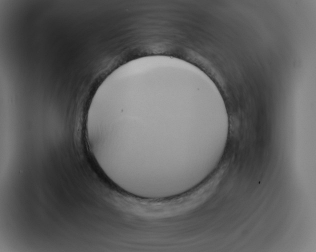X0000086750018200705111704