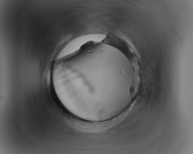 X0000086750019200705111704