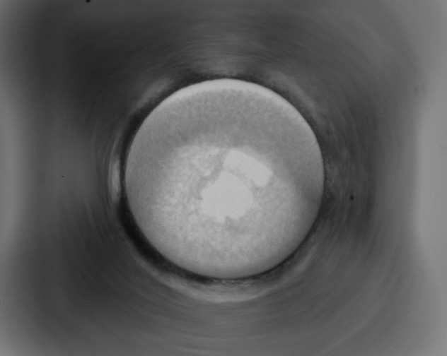 X0000086750020200705111704