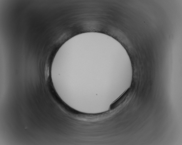 X0000086750021200705111704