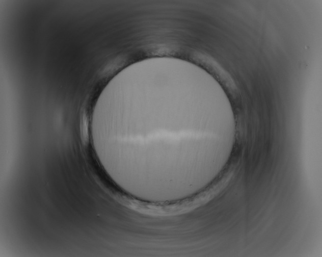 X0000086750022200705111704