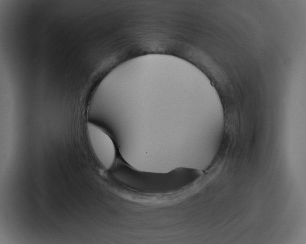 X0000086750023200705111704