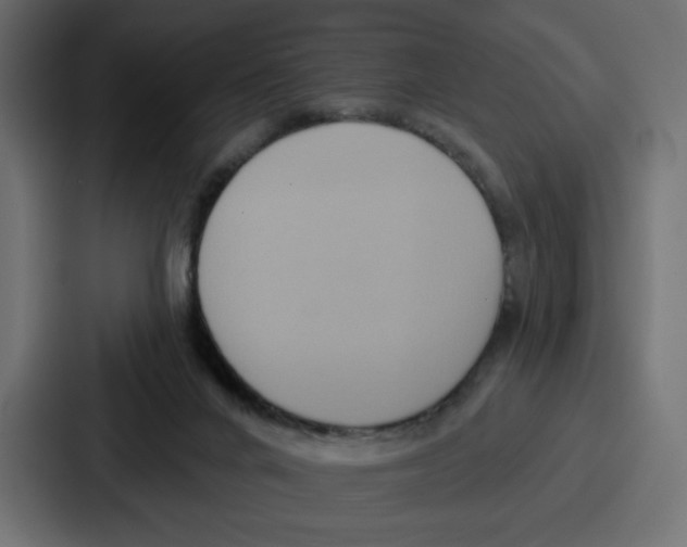 X0000086750024200705111704