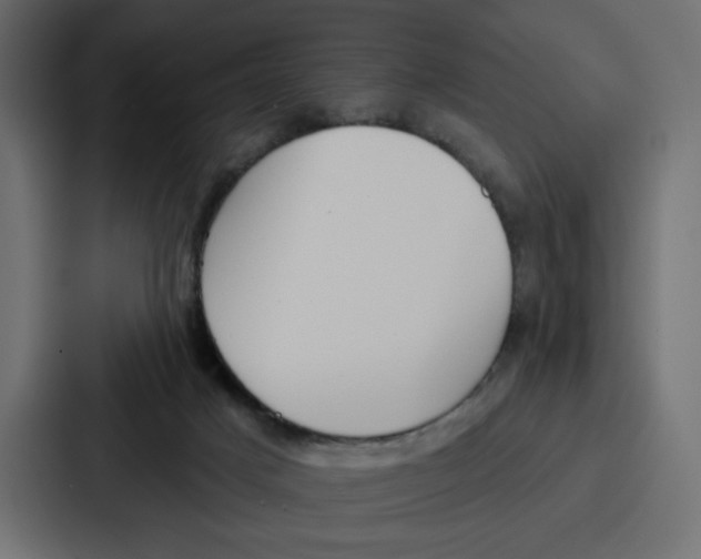 X0000086750025200705111704