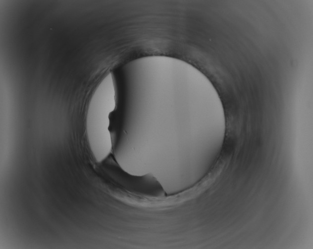 X0000086750027200705111704
