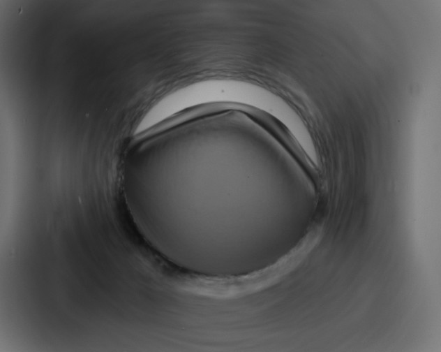 X0000086750029200705111704