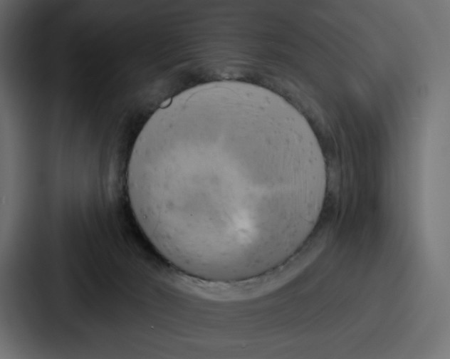 X0000086750030200705111704