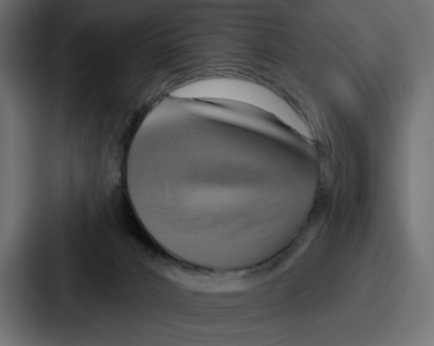 X0000086750032200705111704