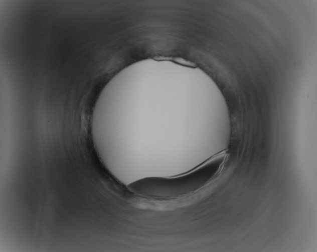 X0000086750033200705111704