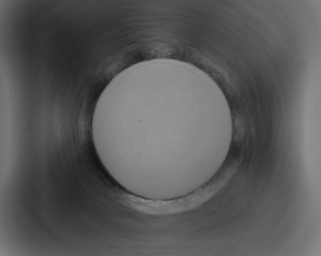 X0000086750034200705111704