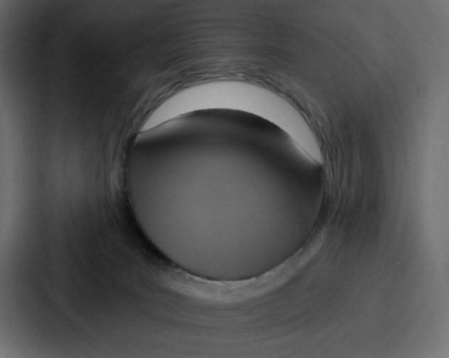 X0000086750035200705111704