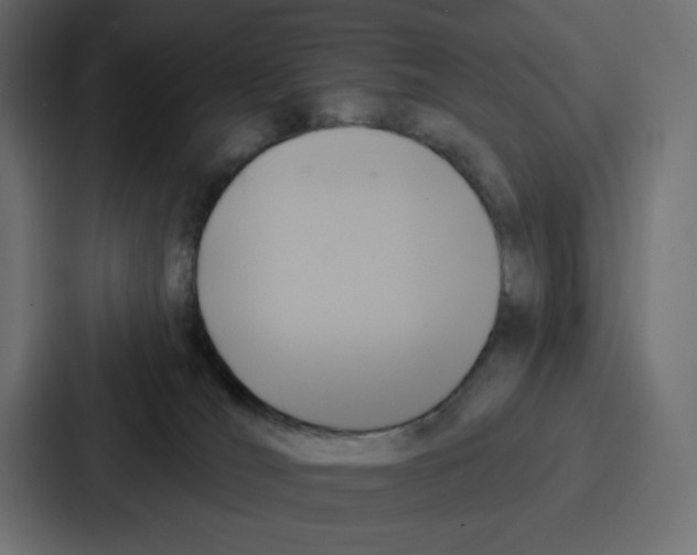 X0000086750036200705111704