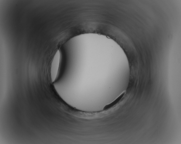 X0000086750037200705111704