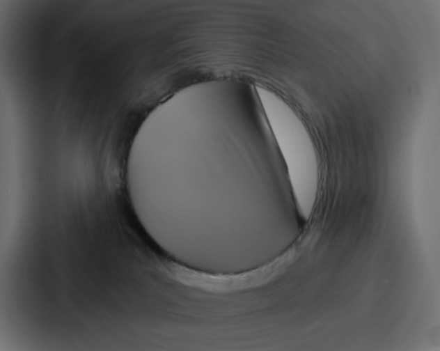 X0000086750039200705111704