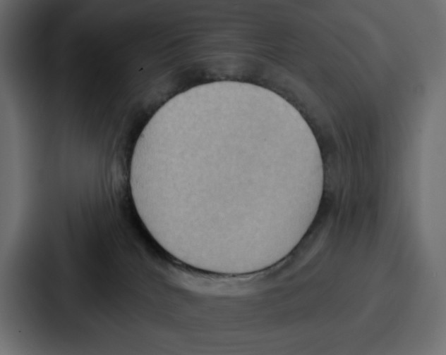 X0000086750040200705111704
