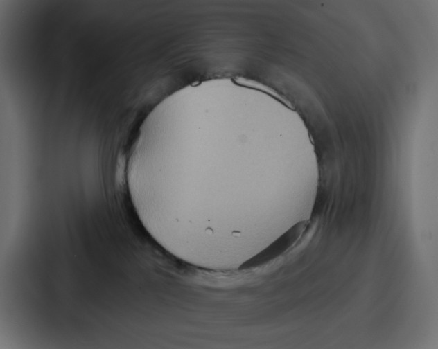X0000086750041200705111704