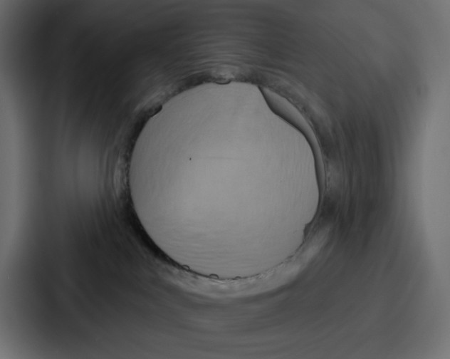 X0000086750043200705111704