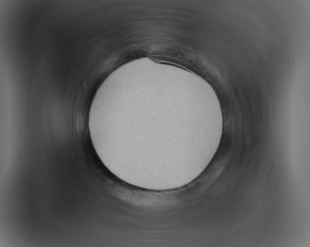 X0000086750044200705111704