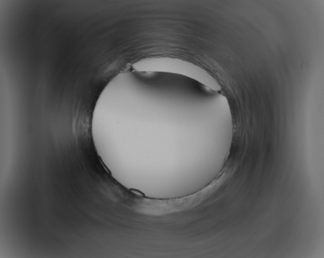 X0000086750045200705111704