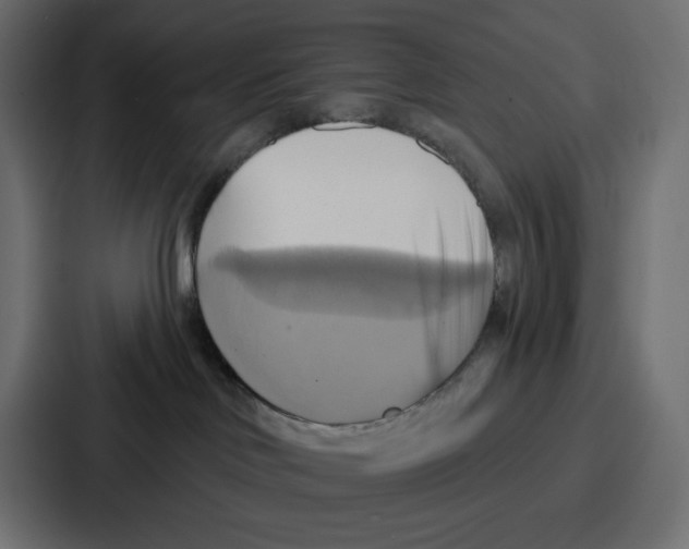 X0000086750046200705111704