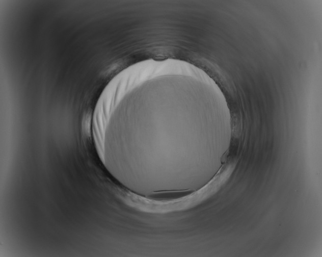 X0000086750047200705111704