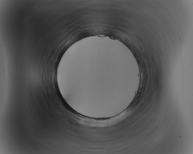 X0000086750048200705111704