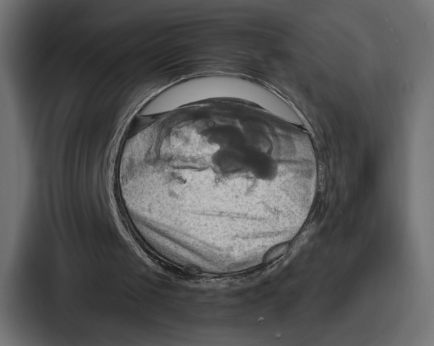 X0000086750049200705111703