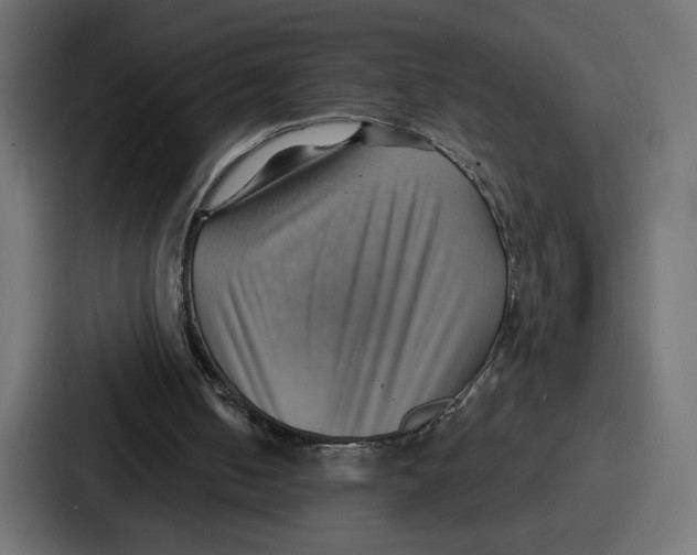 X0000086750050200705111703
