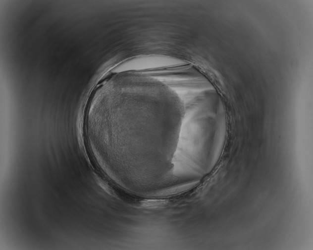 X0000086750051200705111703