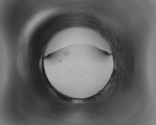 X0000086750052200705111703