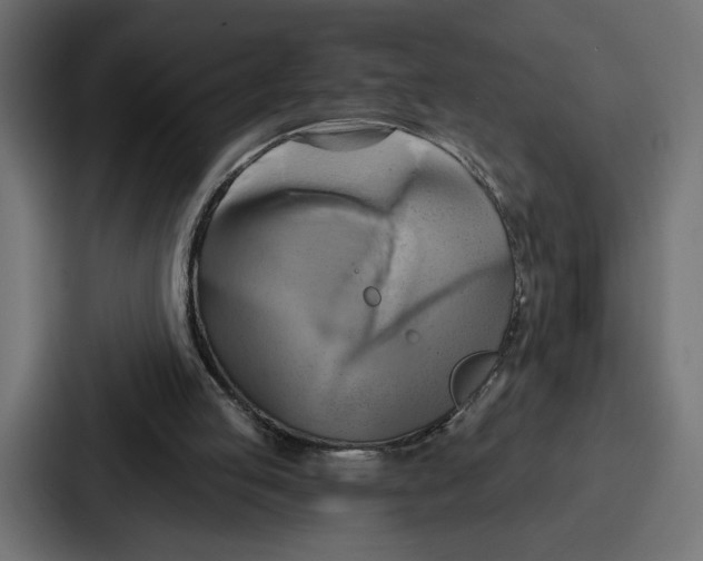 X0000086750053200705111703